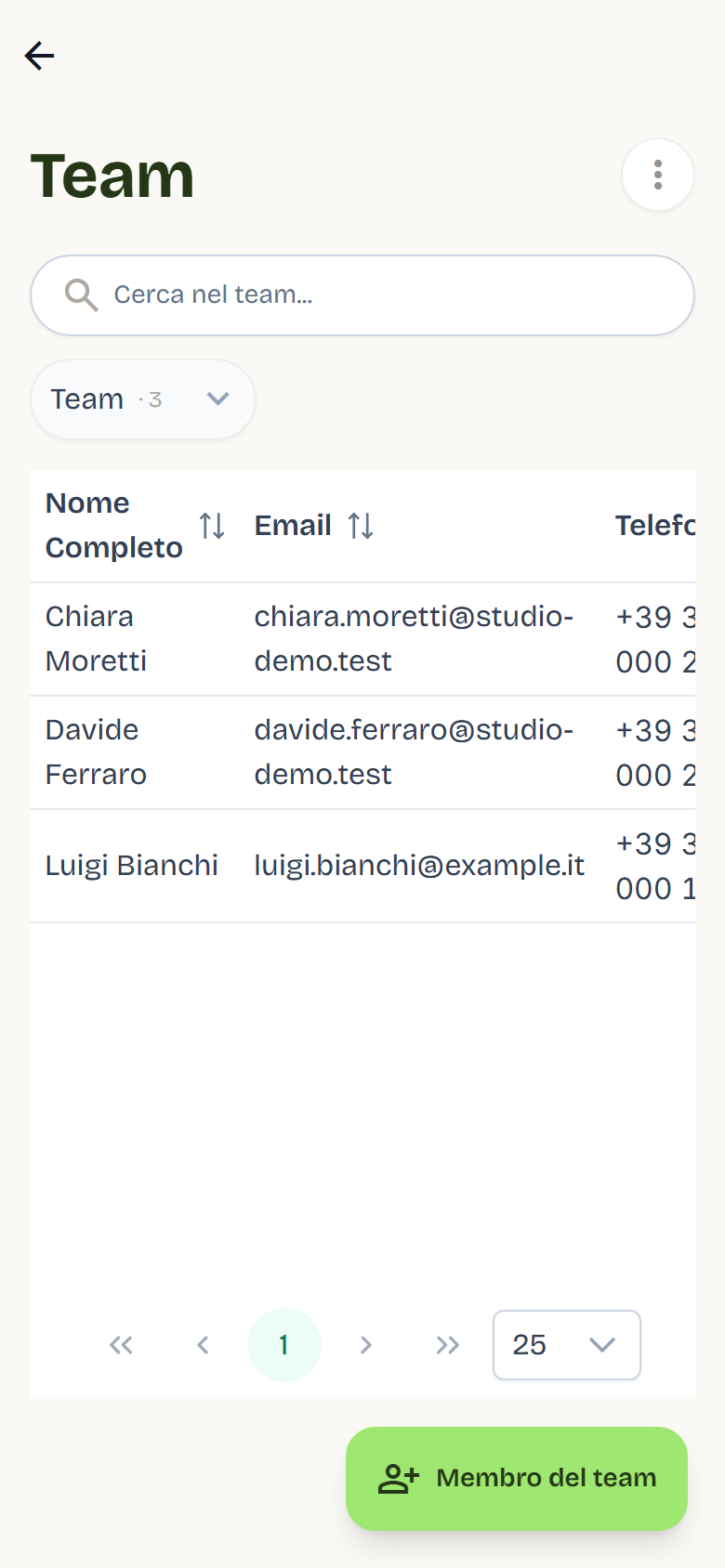 The Team list with three members, their Active status and the Manage button.