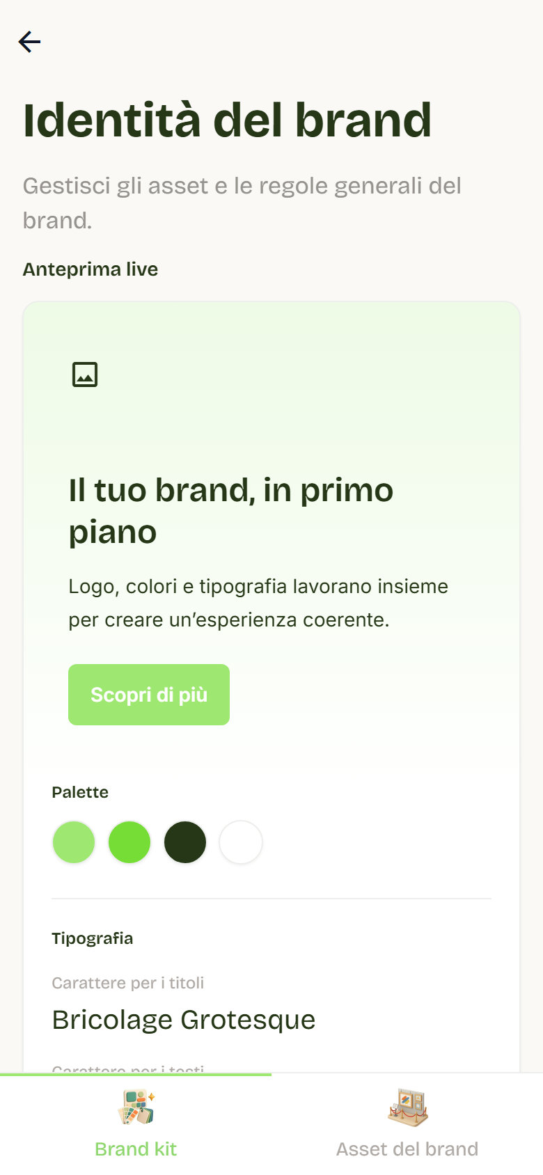 Scheda Brand kit con l’anteprima live, la palette dei colori, la tipografia e il caricamento del logo.